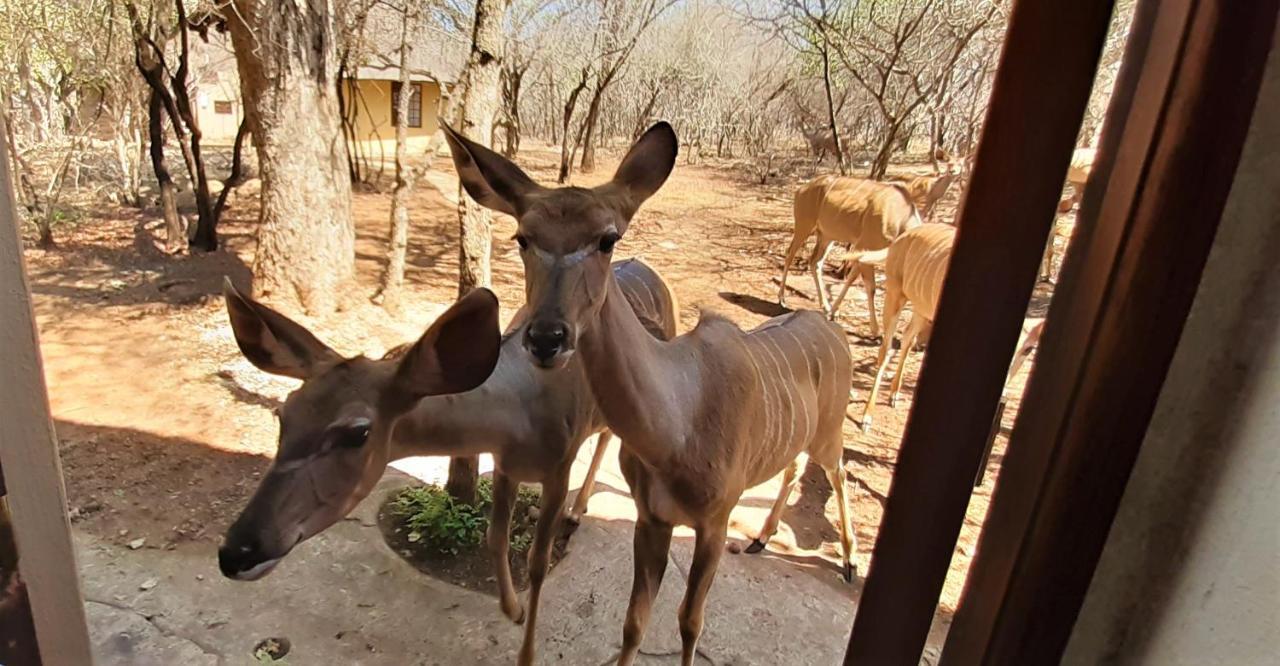 Kruger Private Lodge Marloth Park Exterior photo