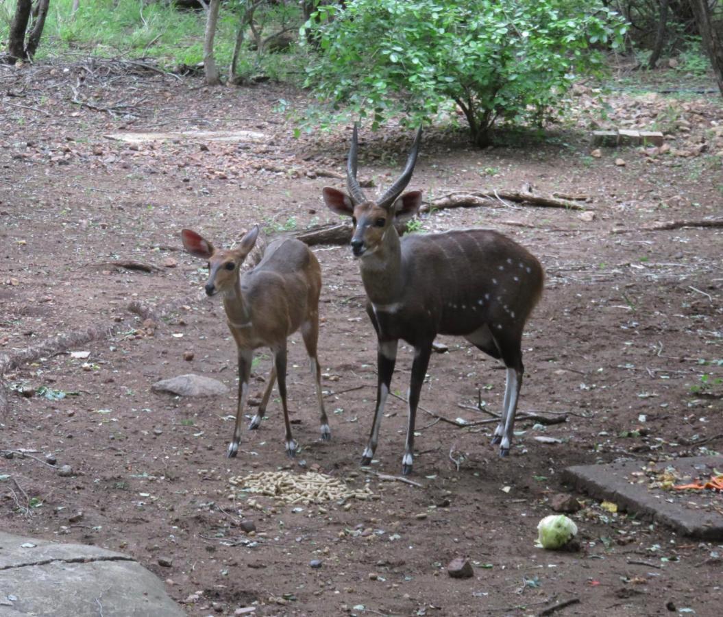 Kruger Private Lodge Marloth Park Exterior photo