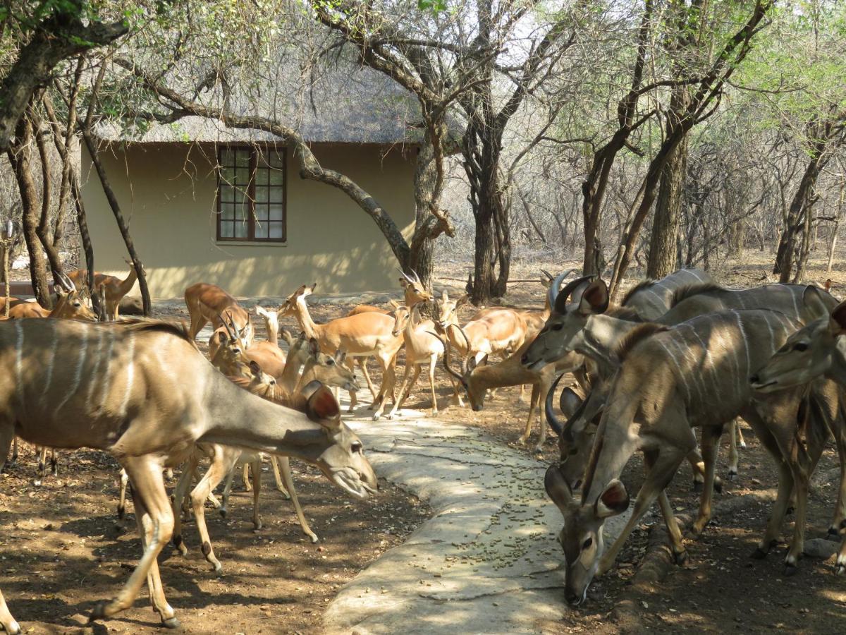 Kruger Private Lodge Marloth Park Exterior photo