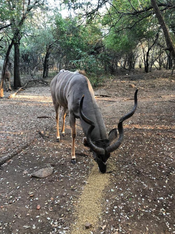 Kruger Private Lodge Marloth Park Exterior photo